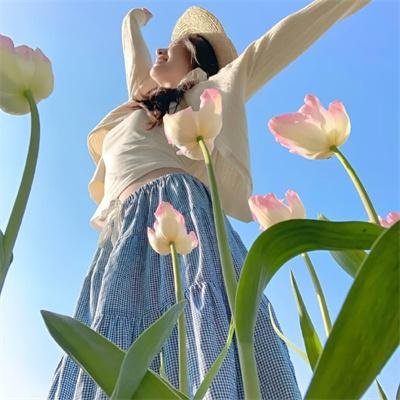兔子和公牛